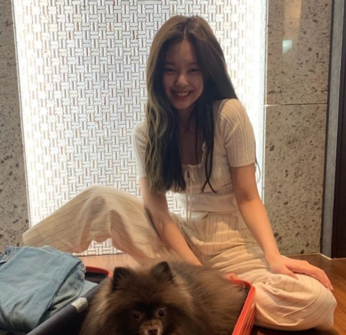 Sandro 산드로 제니니트 상품이미지1