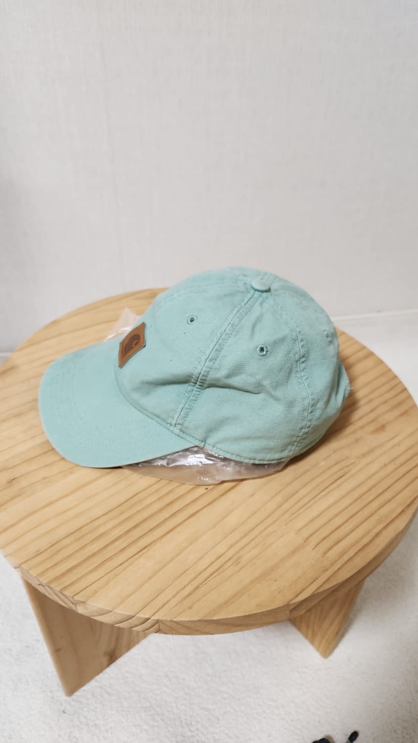 칼하트 오데사볼캡 민트 상품이미지2