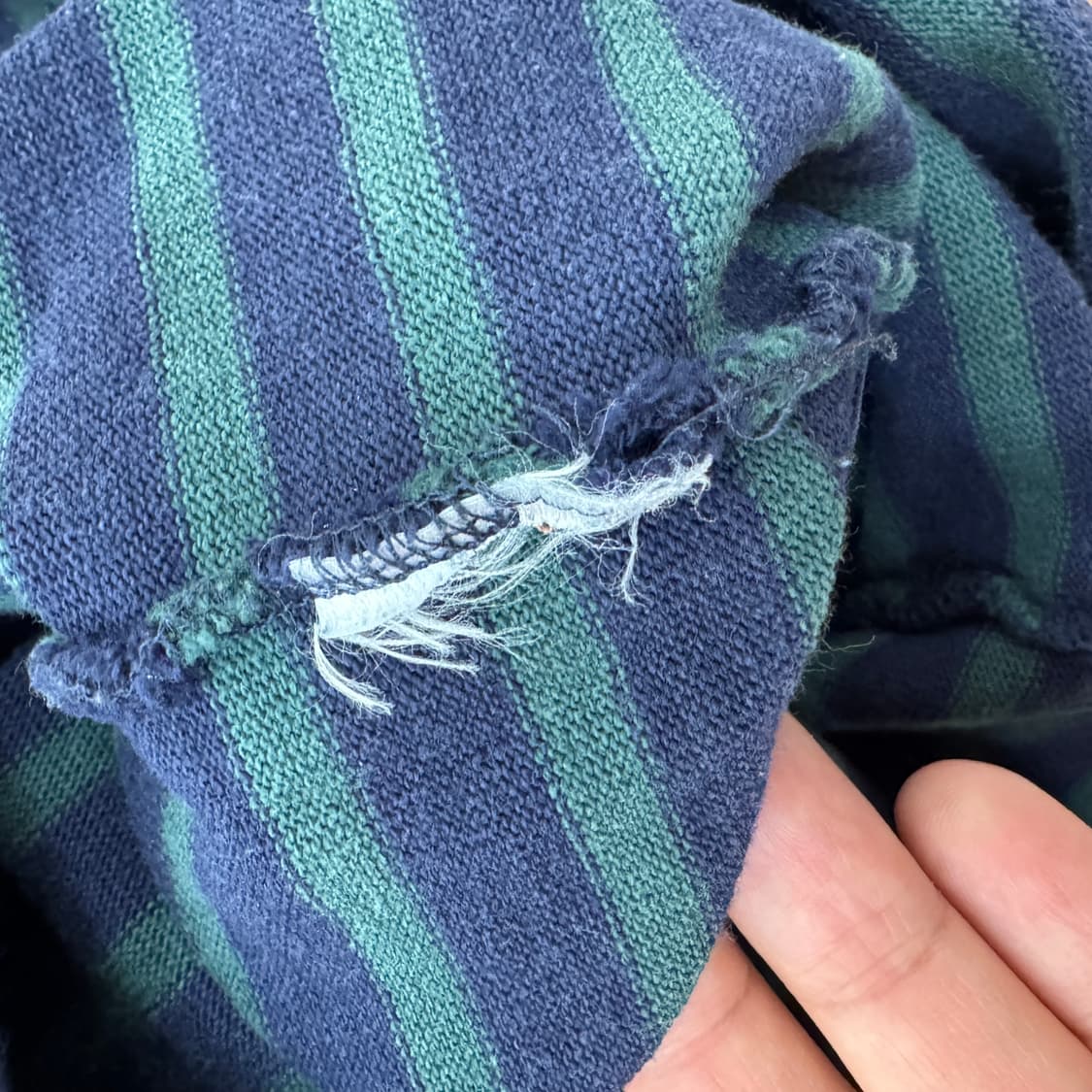 L 세인트제임스 단가라 티셔츠  상품이미지5