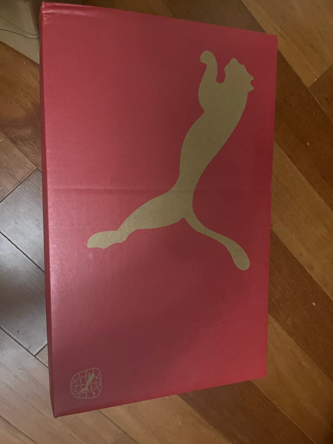 푸마 울트라 5 프로 케이지 상품이미지1