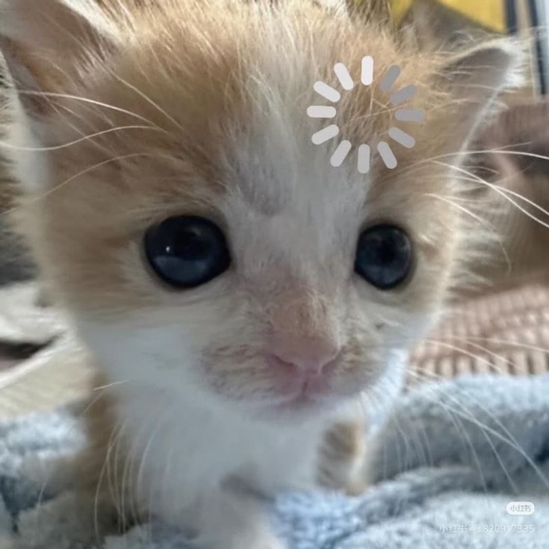 합배송 상품이미지1