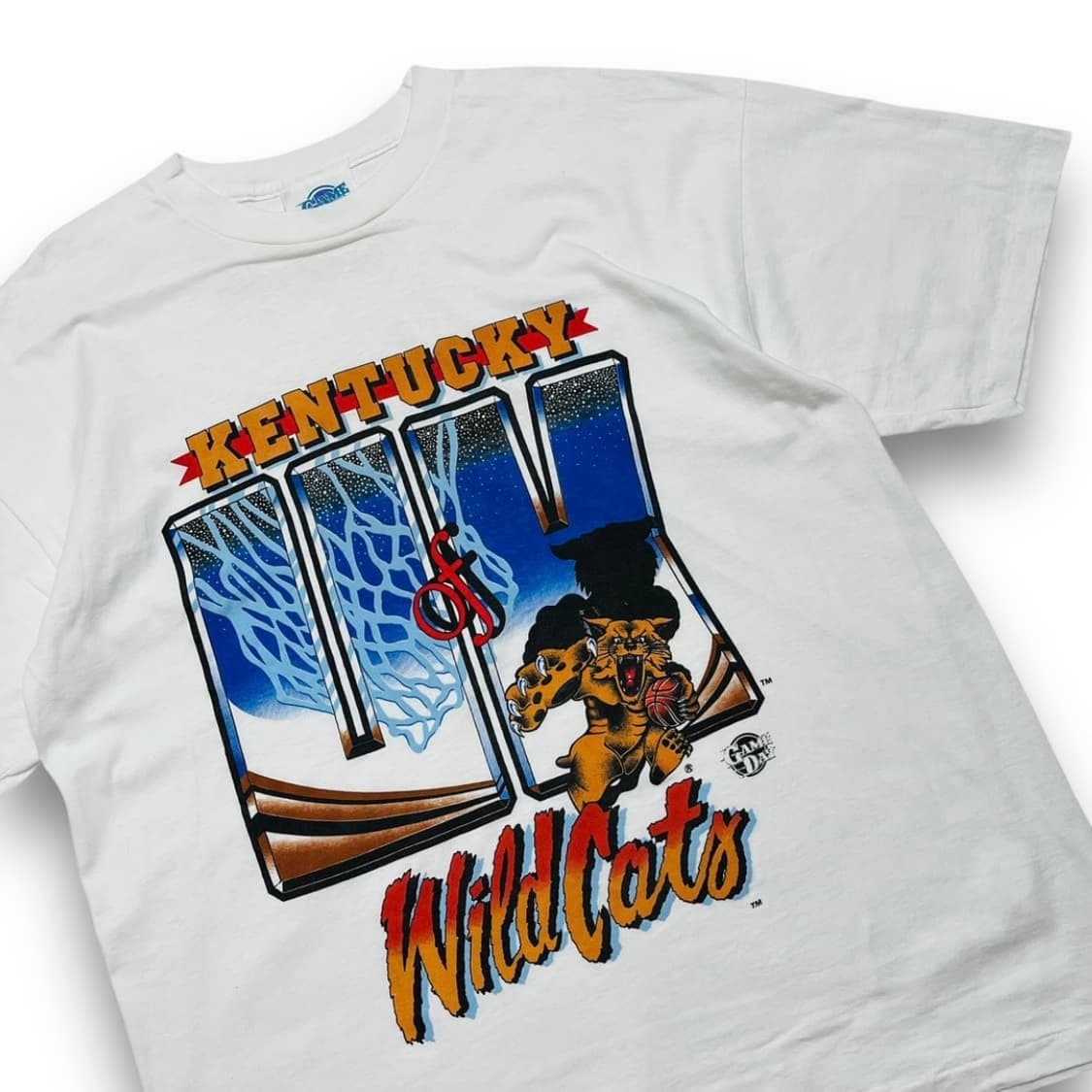 Game Day 90s Wild cats 올드스쿨 덩크 반팔 티셔츠 상품이미지2