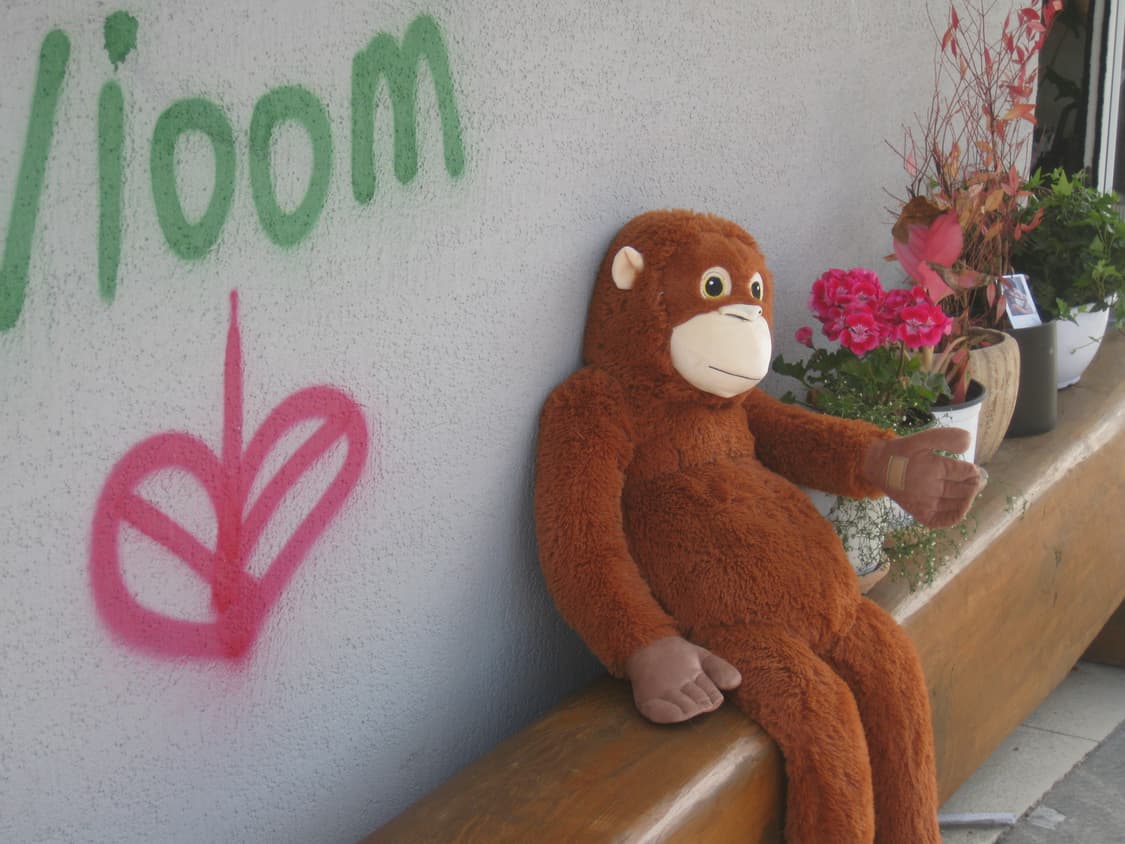 캐논 익서스 ixus 85 is (익시 ixy 25 is) 디카 작례O 상품이미지7