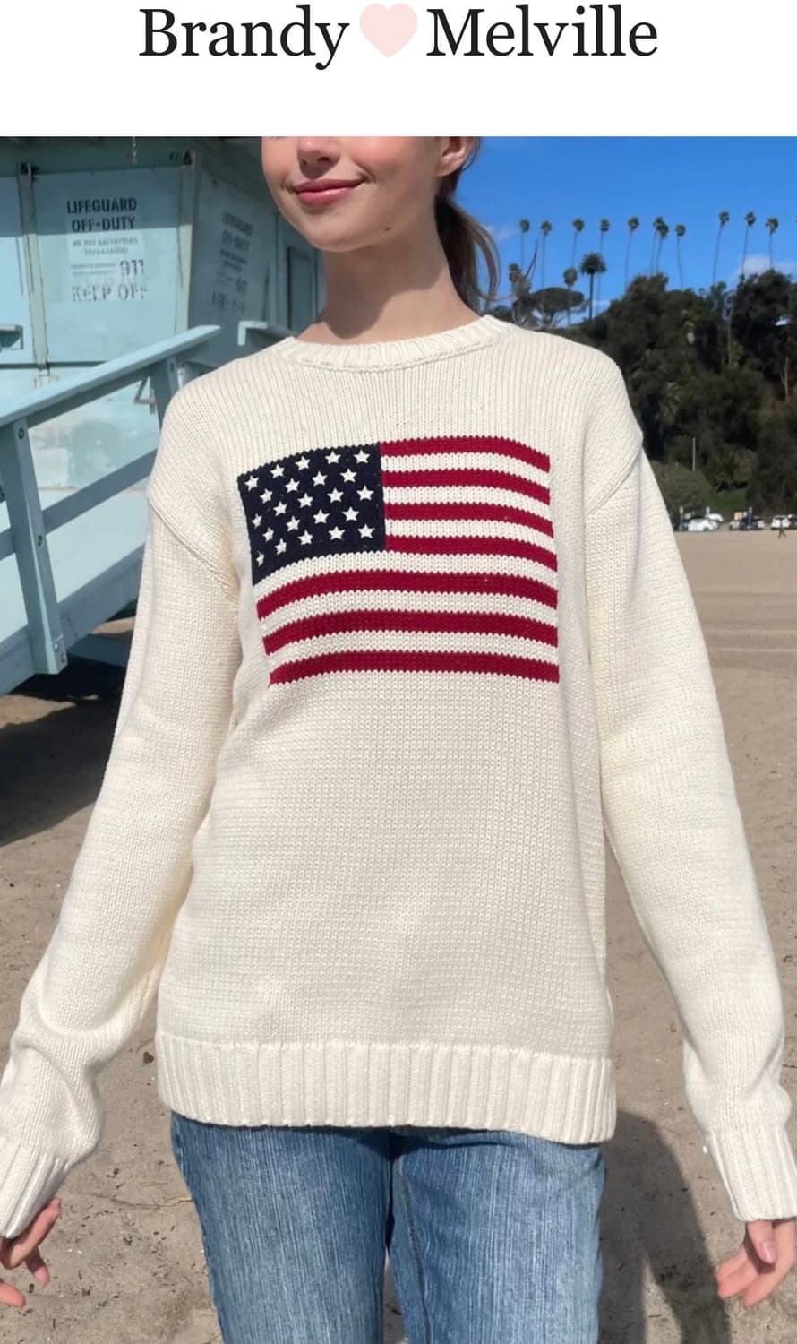 브랜디멜빌 성조기 니트 상품이미지3