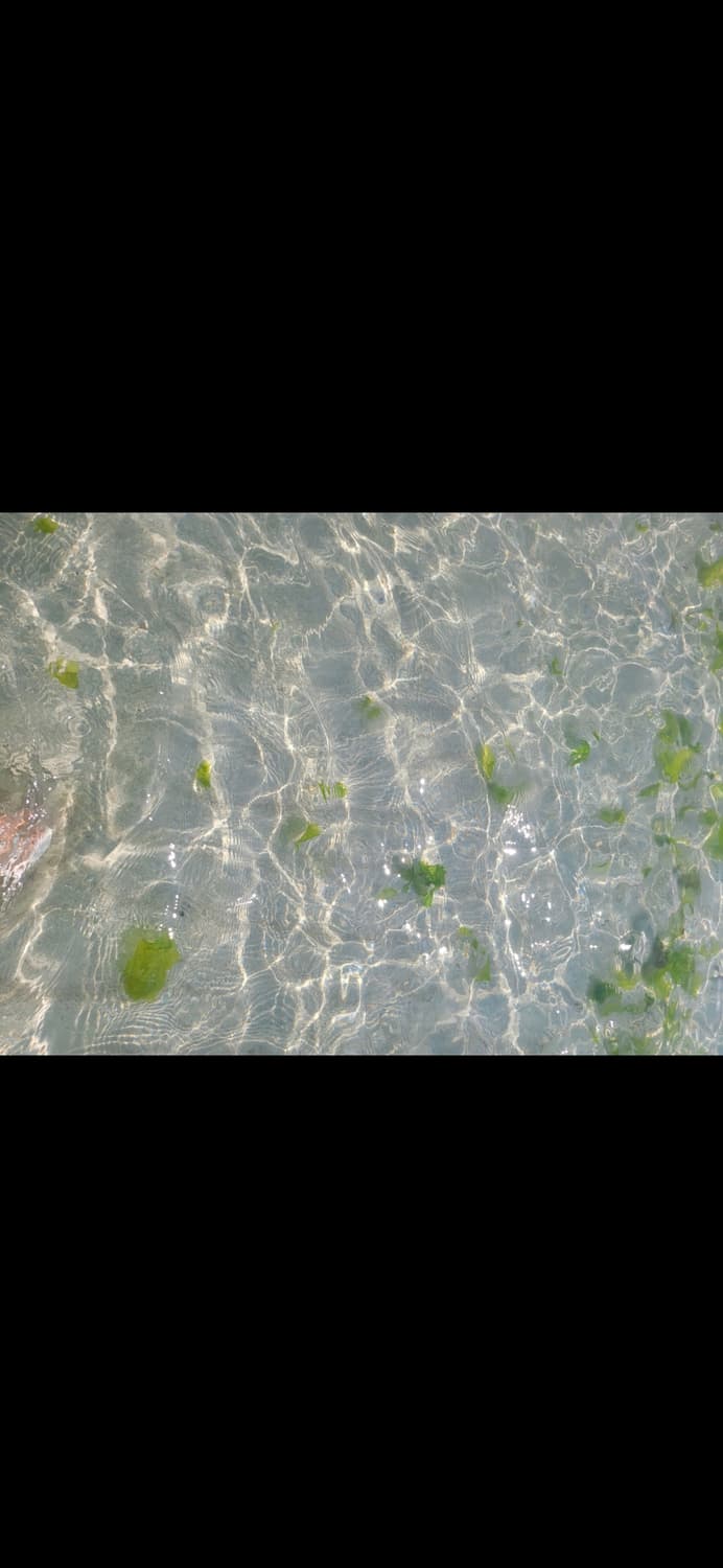 ​Nikon CoolPix 5200 니콘 쿨픽스 5200 상품이미지5