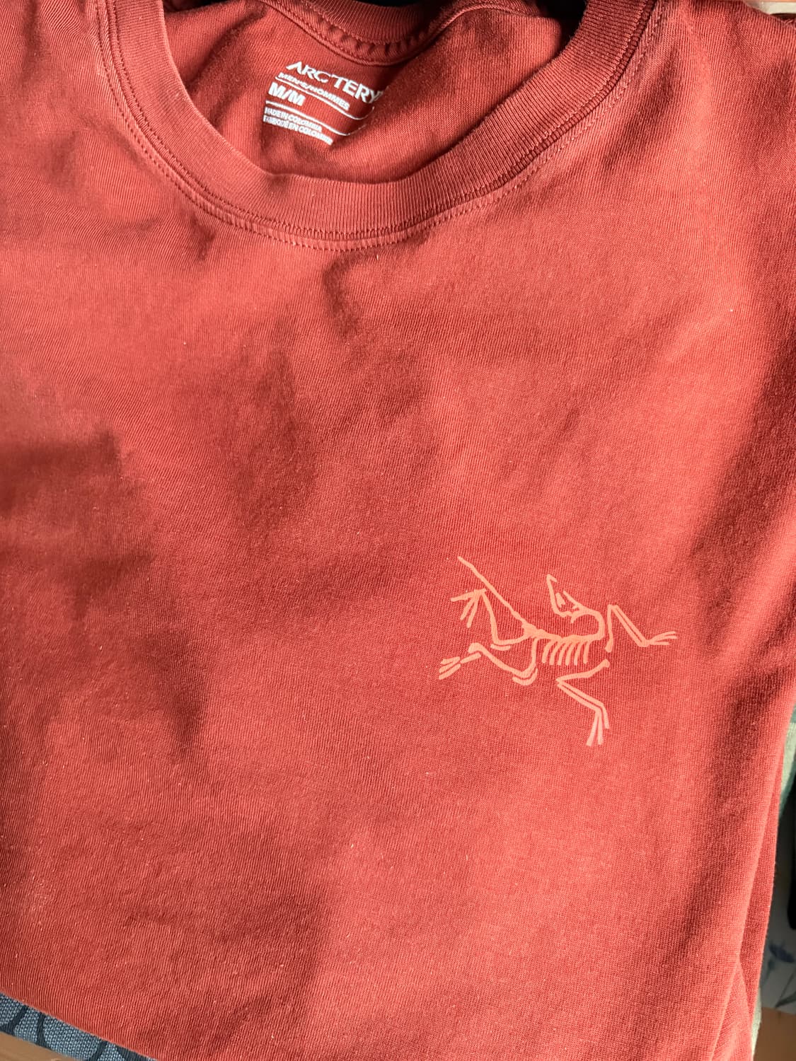 아크테릭스 로고 롱슬리브 티셔츠 세쿼이아 상품이미지3