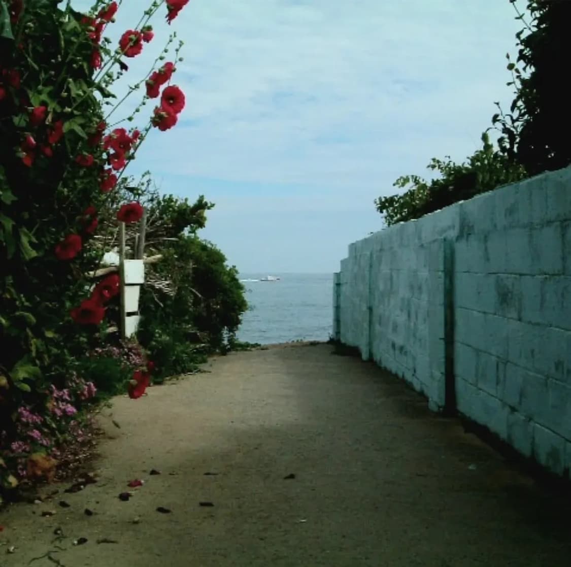 파인픽스f401 레트로 디카 상품이미지6