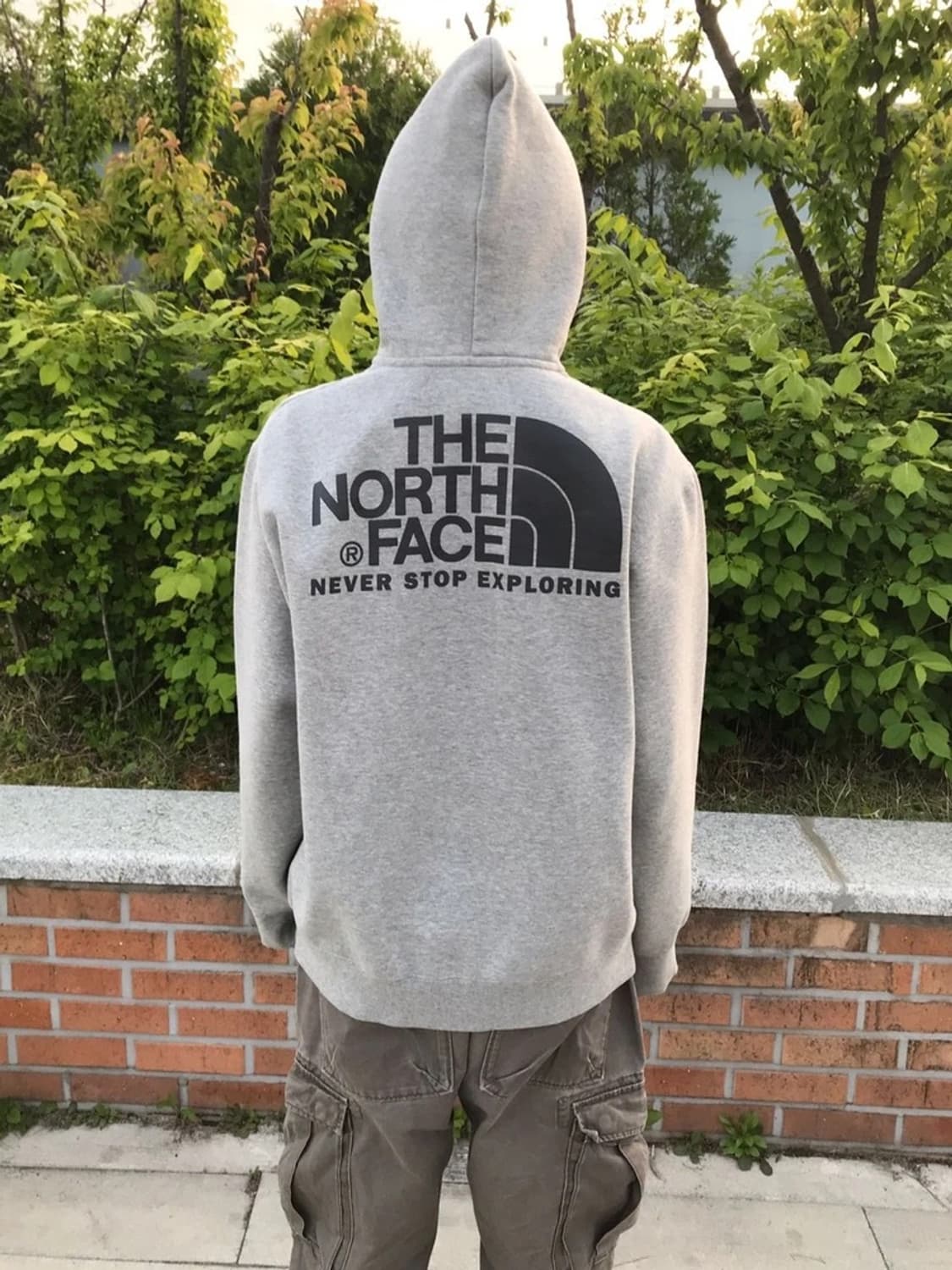 The North Face Big Logo Zip Hoodie 상품이미지1