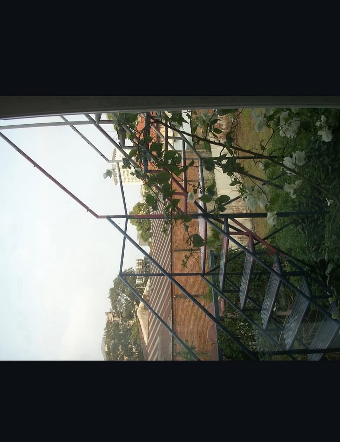 코니카 미놀타 디마지 x1 디지털카메라 상품이미지9