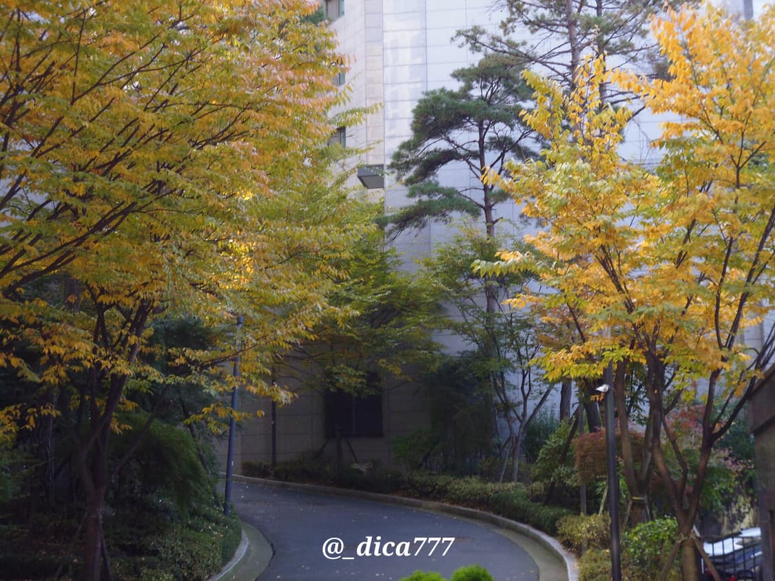 파나소닉 DMC-FH10 디카 풀박스 상품이미지8