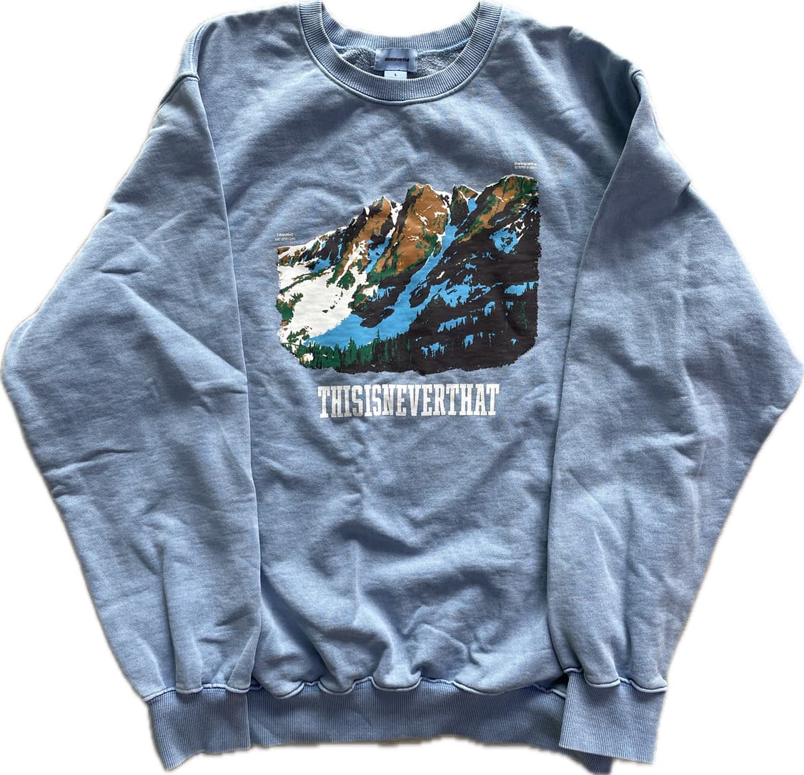 디스이즈네버댓 프린팅 맨투맨 L 상품이미지1