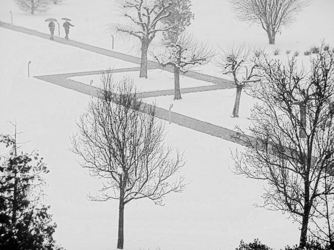 셀카 여신 완성! 플립 액정&와이파이, 파나소닉 LUMIX SZ10 상품이미지4