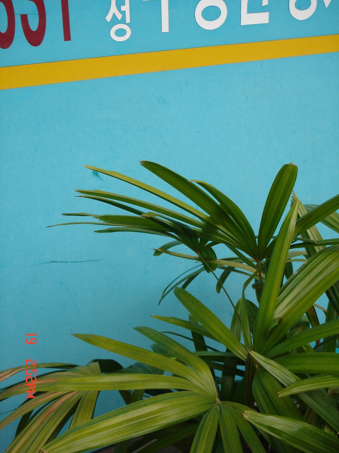 [작례O, 즉시사용] Sony 소니 사이버샷 DSC T7 디카 카메라 상품이미지9