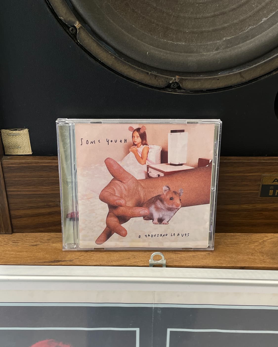 Sonic Youth 상품이미지1