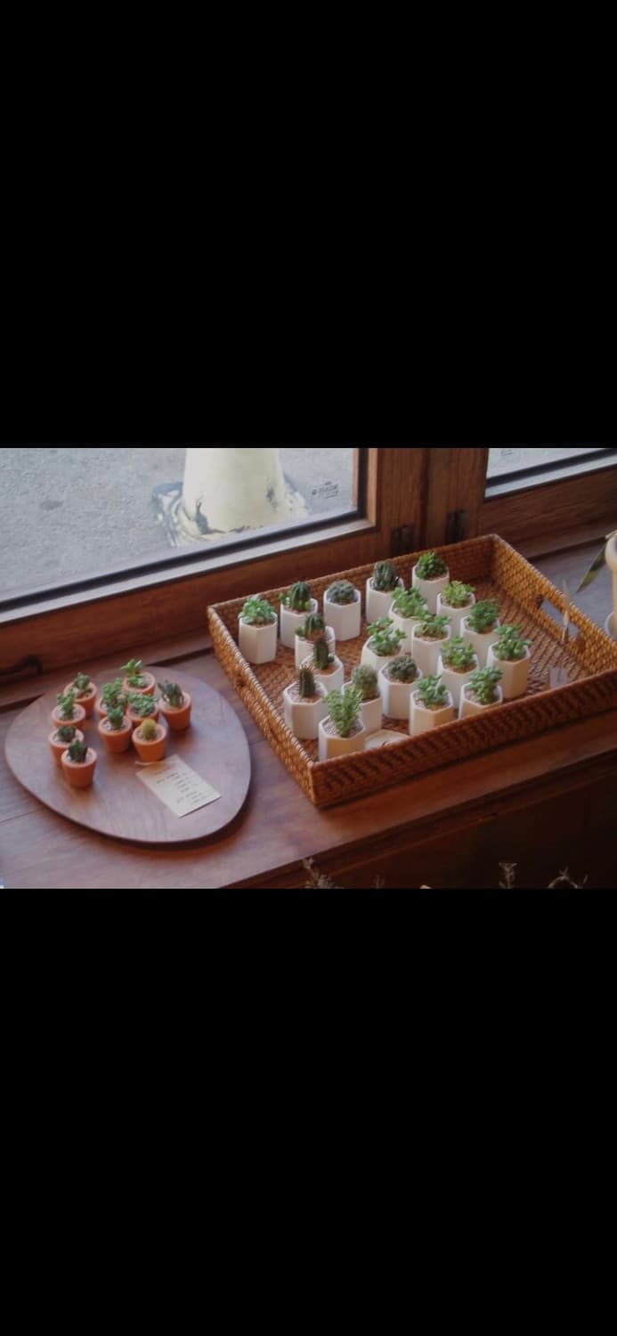 Olympus Mju 1010 디카 캠코더 후루츠패밀리