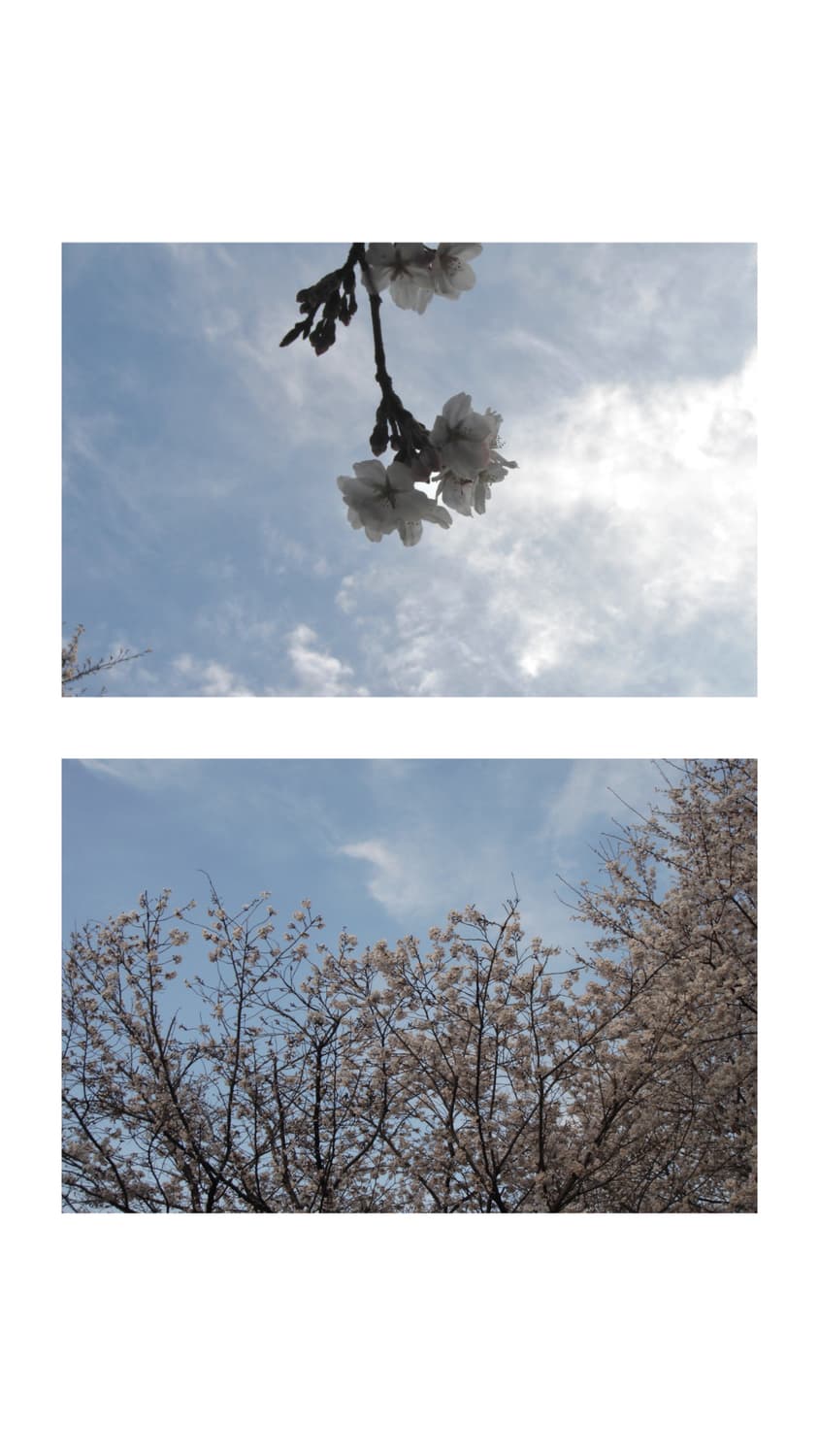 소니 사이버샷 dsc-t7 디지털카메라 상품이미지3