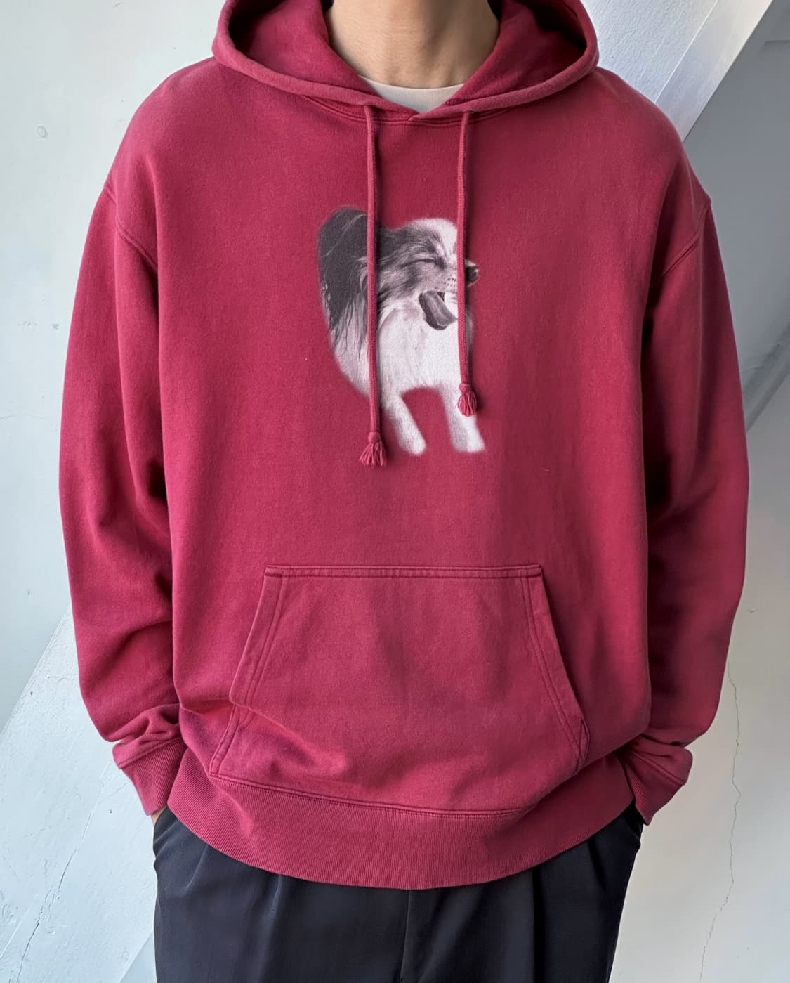 Design printing hooded sweatshirt 상품이미지8