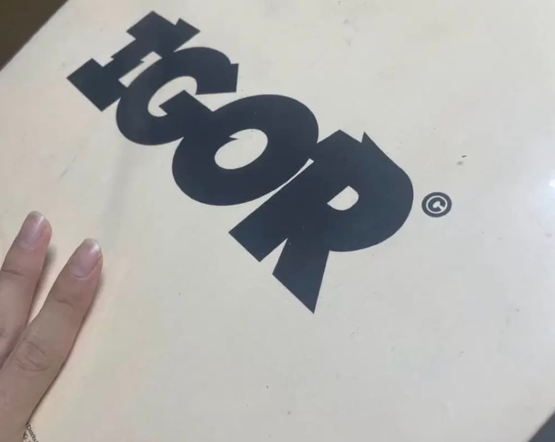 타일러 더 크리에이터 igor 한정반 크로마코피아 초판 상품이미지3