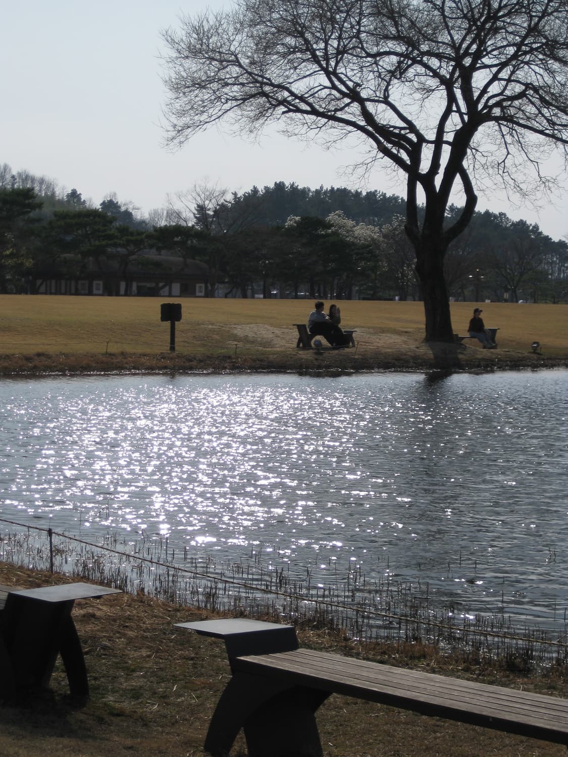 [작례O/리사 디카] 캐논 익서스80 is (IXUS 70)디지털카메라 상품이미지10