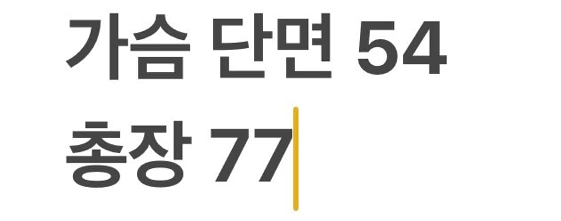 [정품/M] 롯데 자이언츠 야구 유니폼 레드 b13 상품이미지9