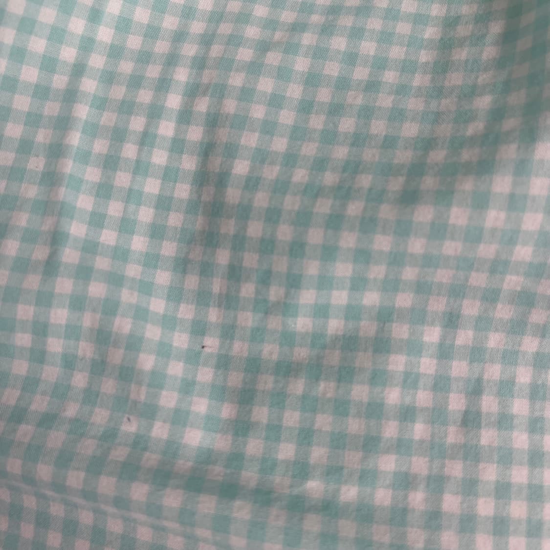 폴로 체크 민트 셔츠 상품이미지2
