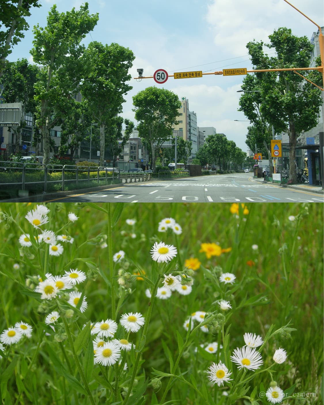 희귀매물/연예인,유튜버 사용모델♥️NIKON COOLPIX P4 니콘디카 상품이미지9