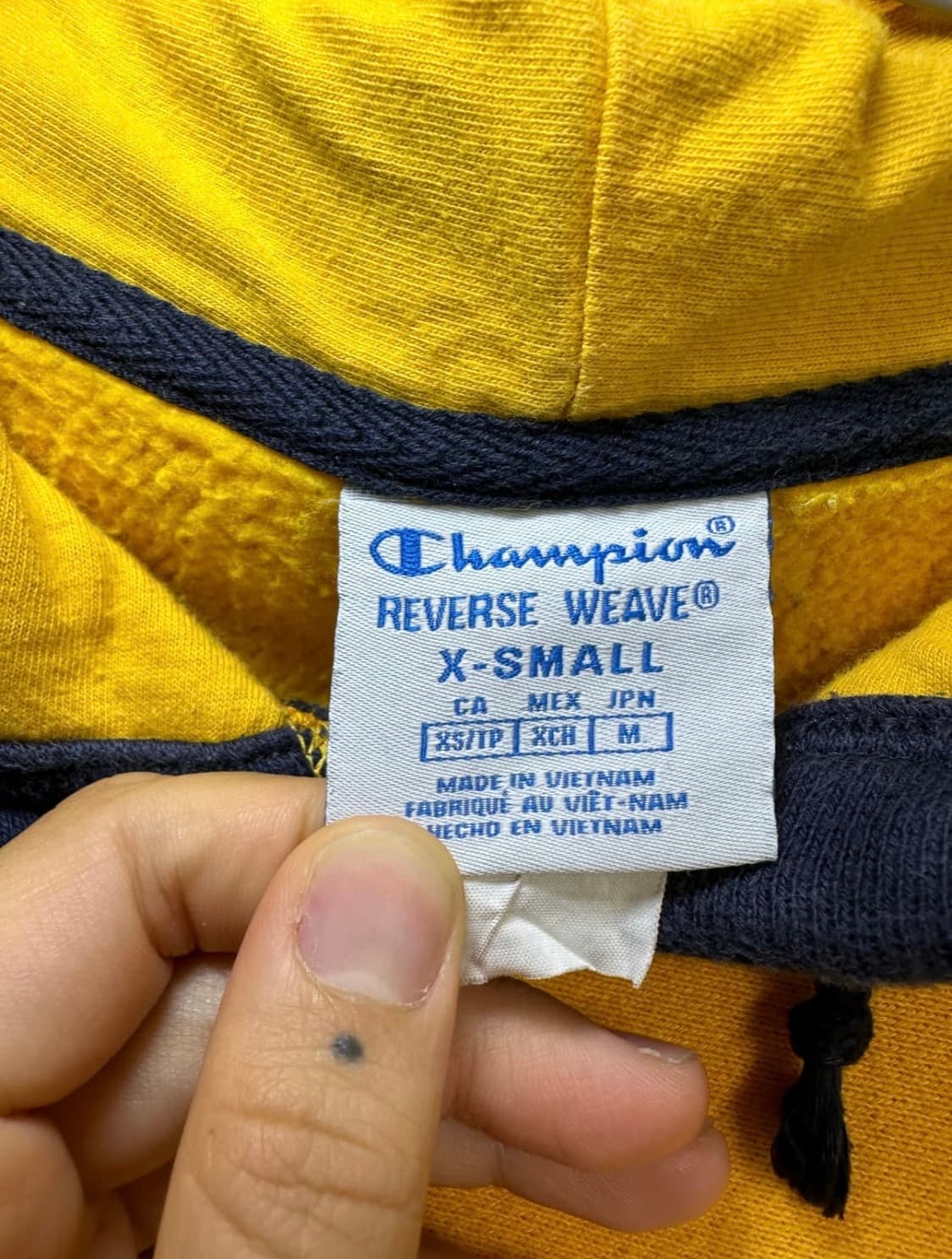 챔피온 블루택 리버스위브 컬러블록 후드티 상품이미지4