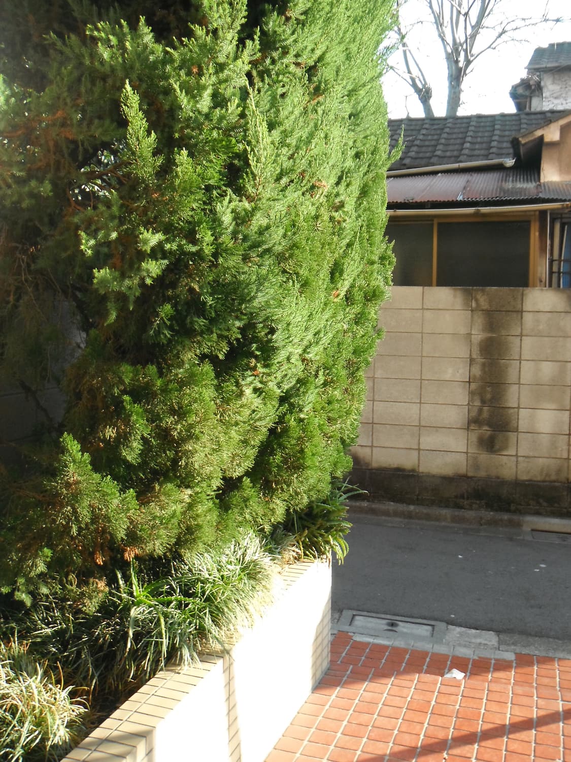 희귀 퍼플 빈티지 디카후지필름 파인픽스 Z90 작례o 상품이미지8