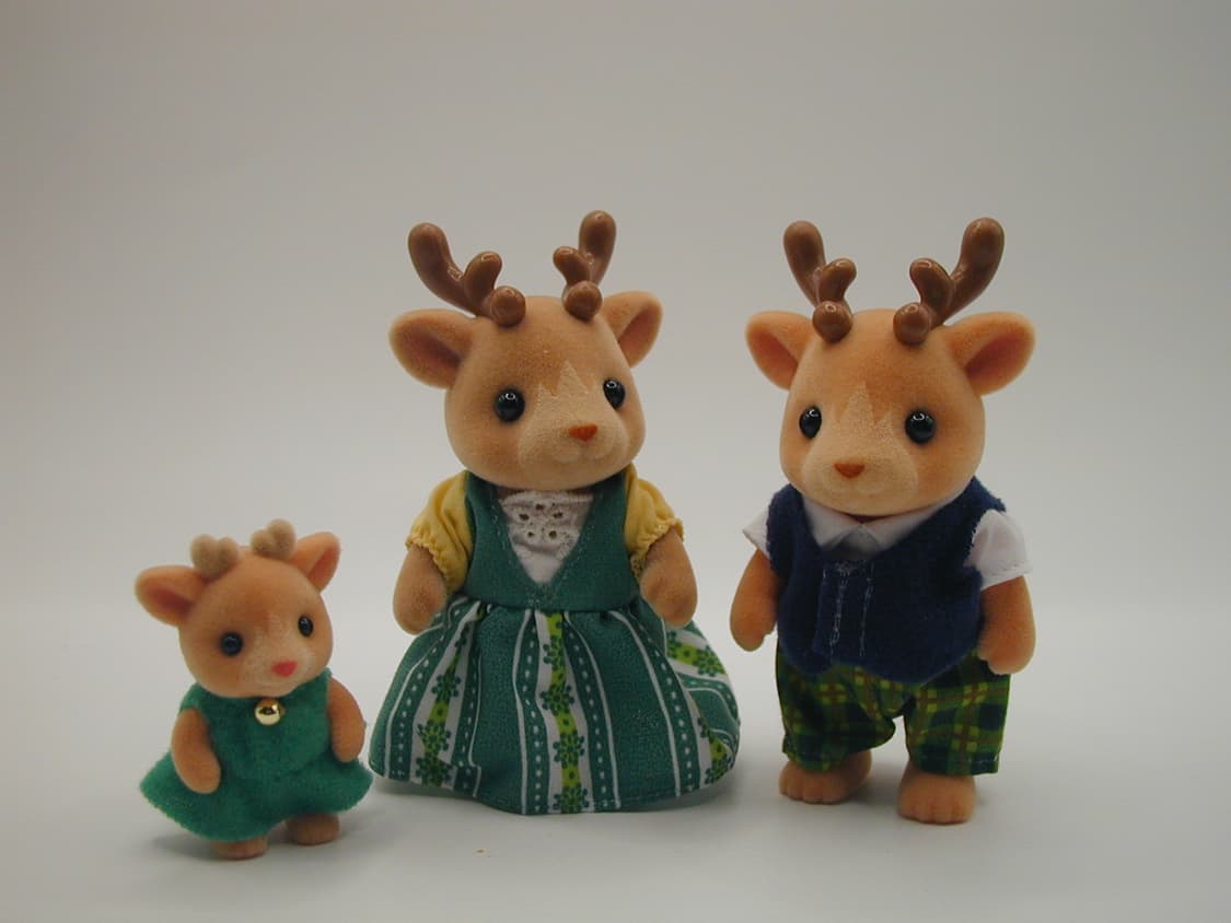 올림푸스 C-2020 Z 💿 클래식 색감 장인 감성디카 상품이미지3