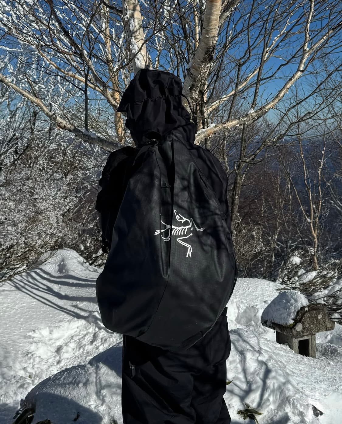 아크테릭스 캐리어 더플 55L 상품이미지1