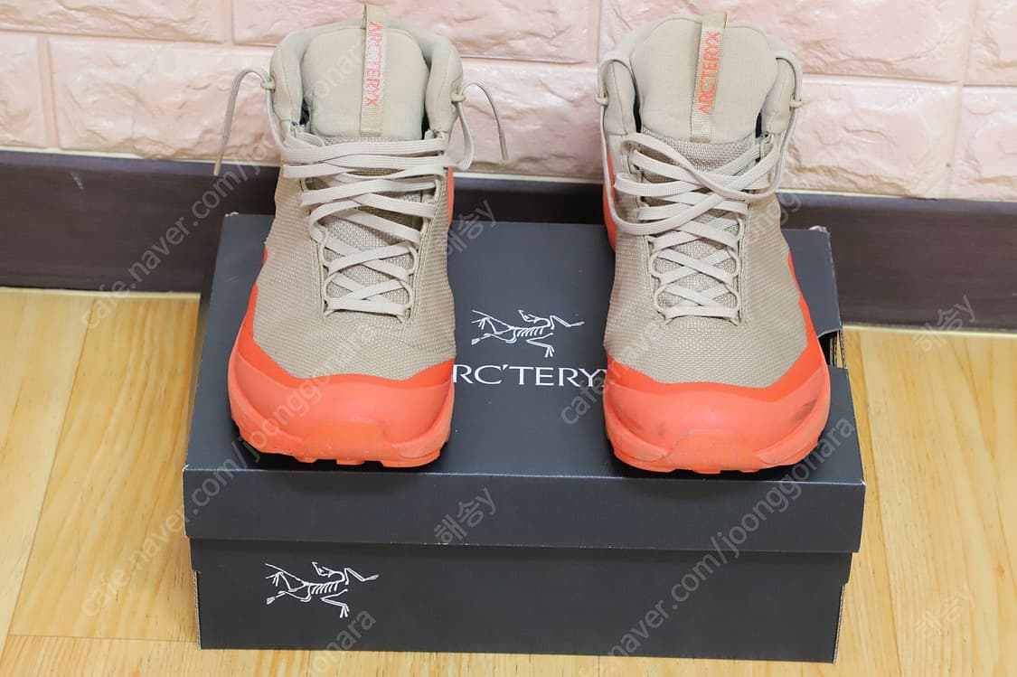Arc'teryx Aerios FL 2 Mid GTX (아크테릭스 슈즈) 상품이미지1