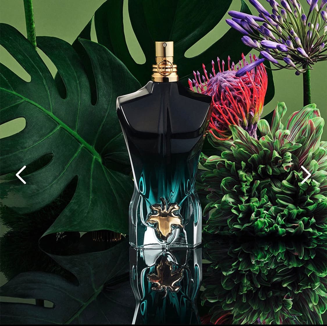 장폴고티에 르보 르 75ml 향수 상품이미지2