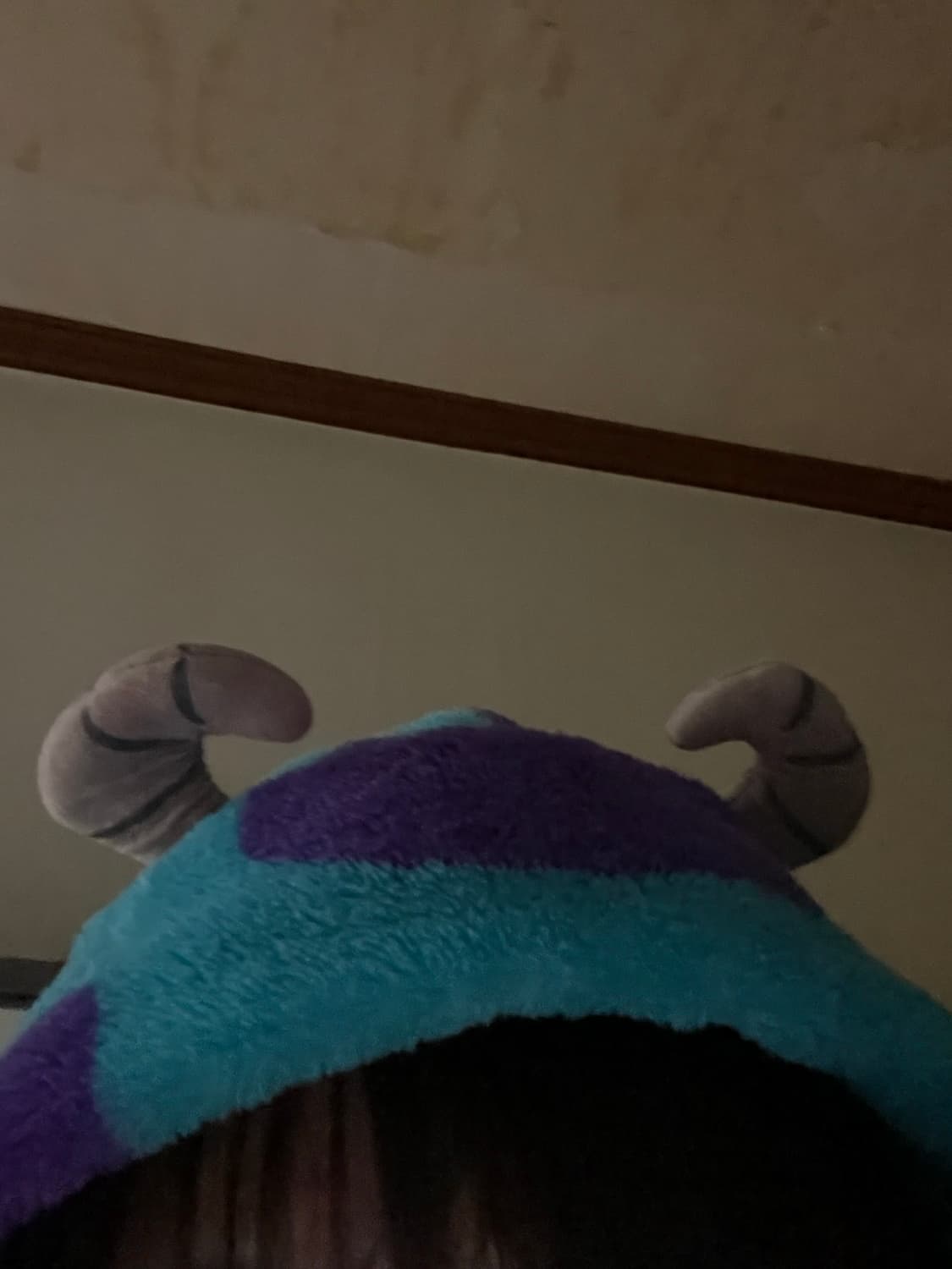 디즈니 설리반 몬스터 후드집업 M 와투케  상품이미지2