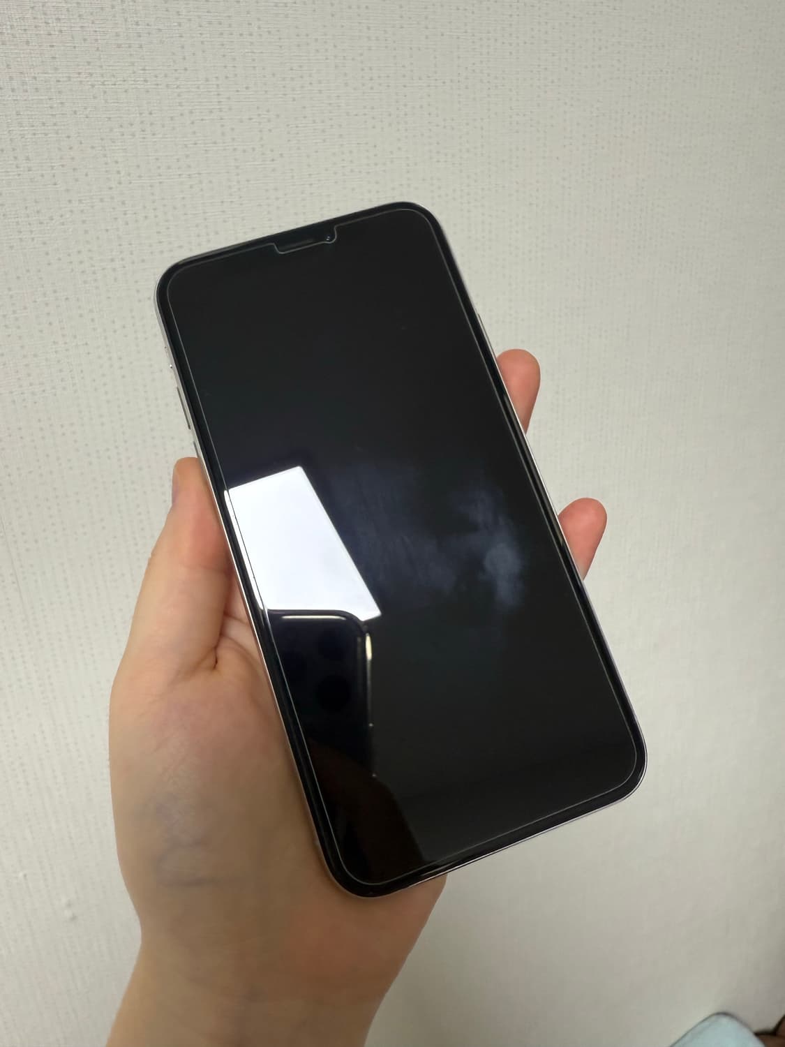 아이폰 xs 259gb  상품이미지3