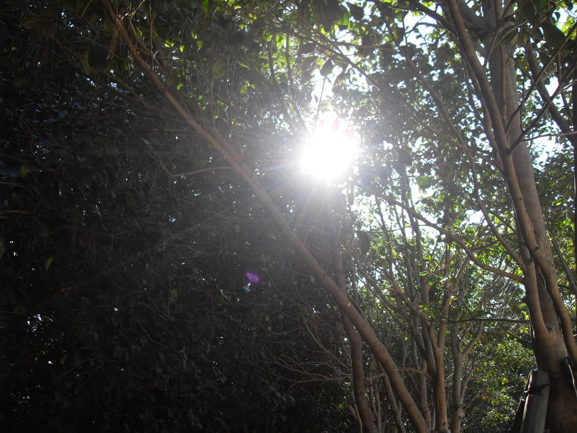 (풀구성) Samsung VLUU L200 digital camera 상품이미지2