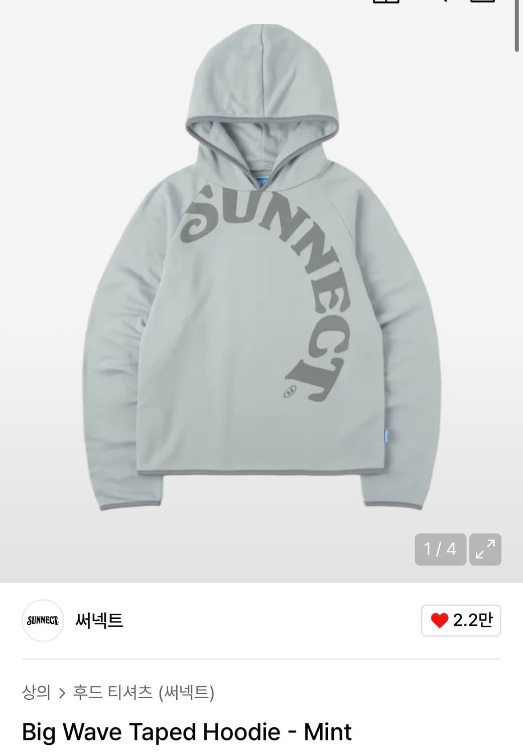 써넥트 Big Wave Taped Hoodie - Mint 상품이미지1
