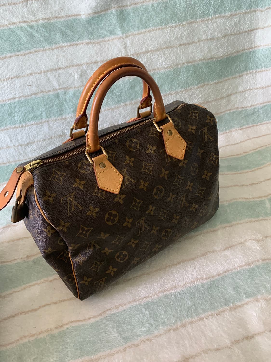 루이비통 스피디 30 상품이미지1