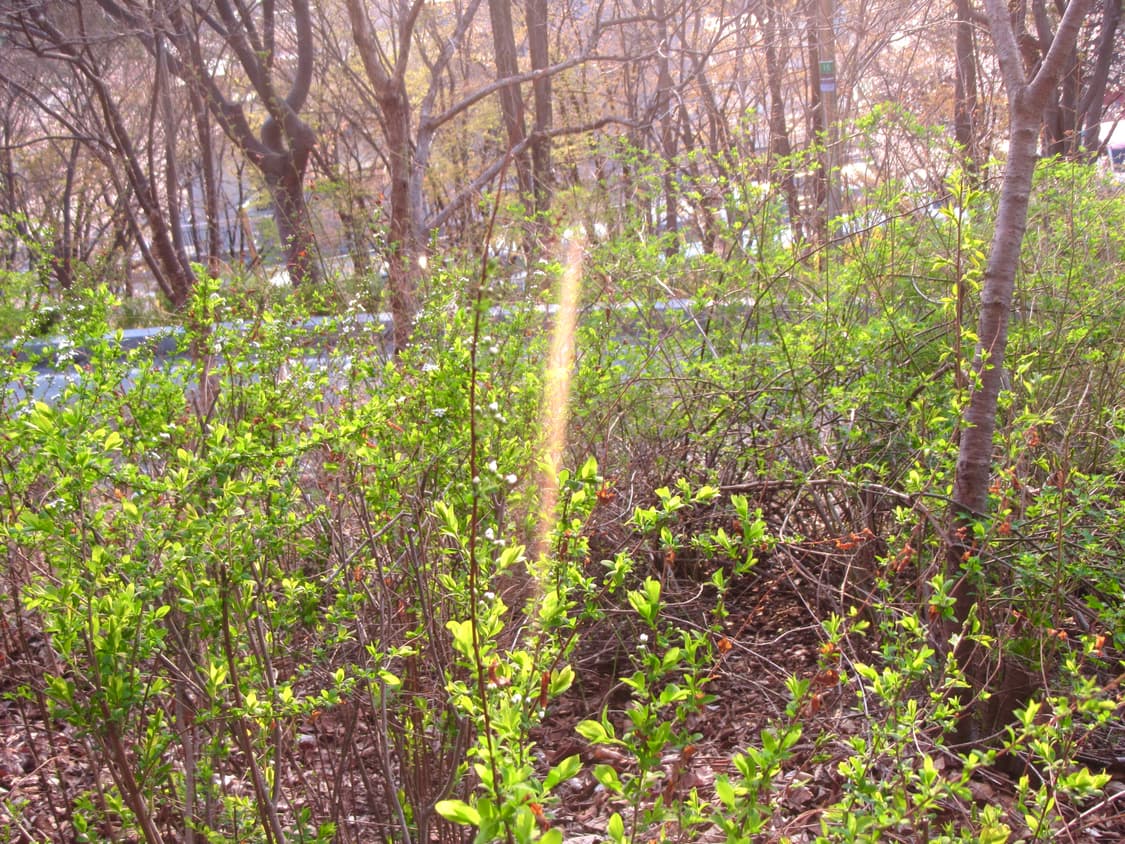 (작례🌸)Canon Powershot D30디카 상품이미지5