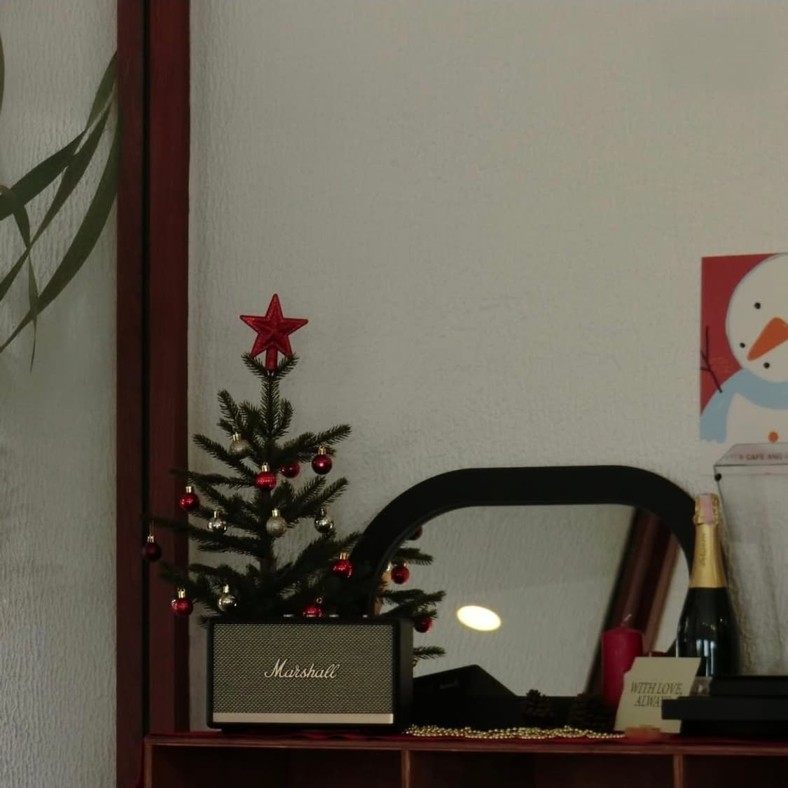 🎀파나소닉 루믹스 FX40 핑크 ✨
💗 화사한 감성 색감  상품이미지6