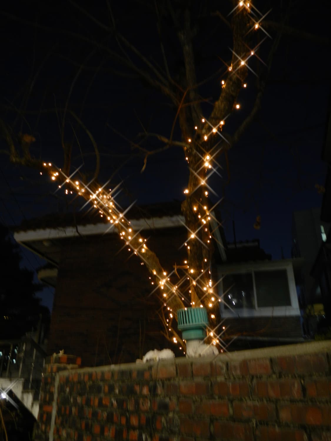 nikon coolpix aw100 (LCD하자) 상품이미지10