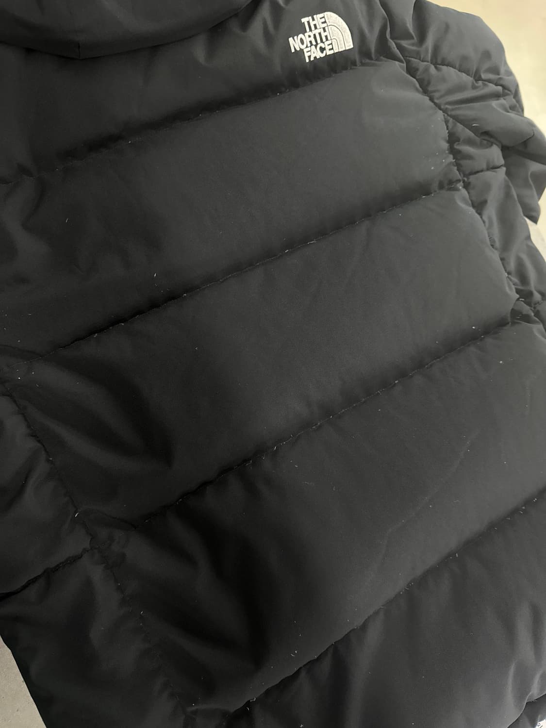 노스페이스 익스플로어링 구스다운 패딩 상품이미지3