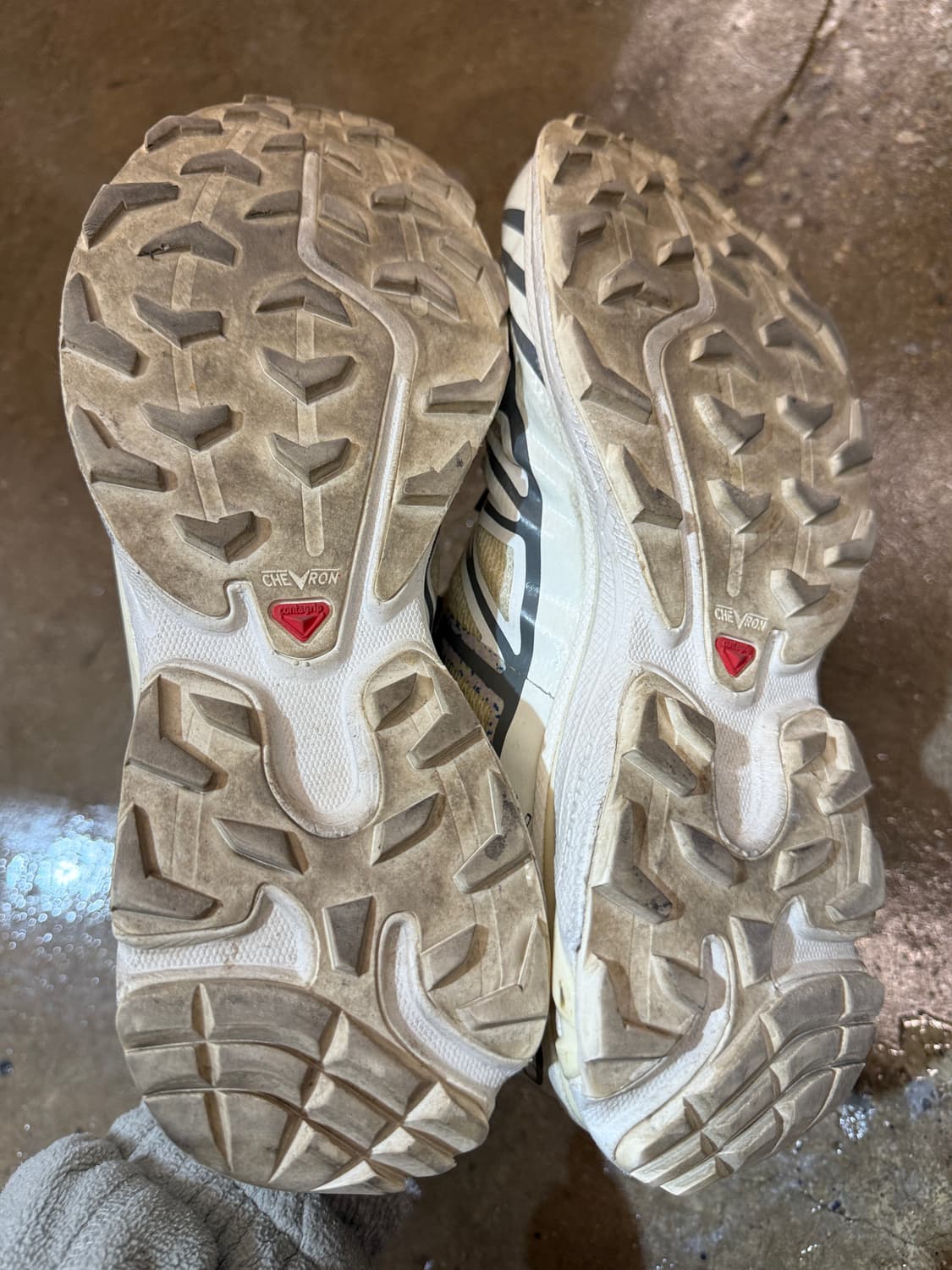 살로몬 XT-6 트레일 러닝화 270 상품이미지6