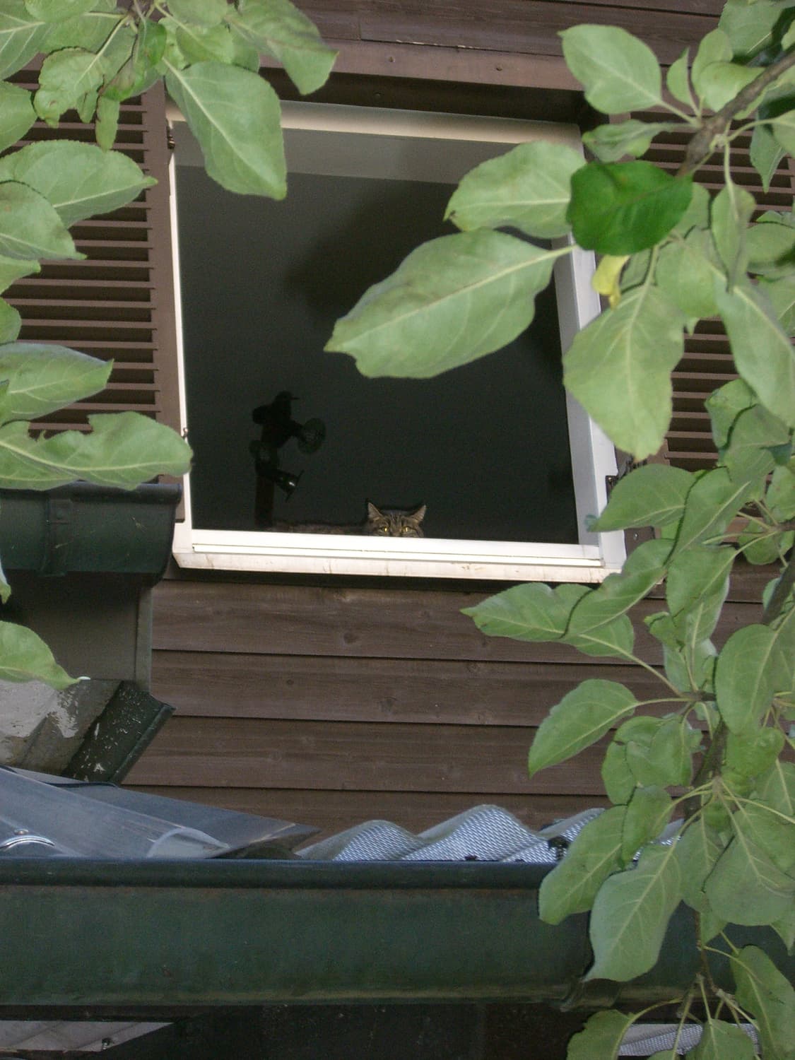 작례⭕️ 카시오 엑실림 EX-S600 레드 디지털 카메라 상품이미지10