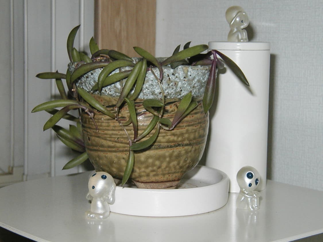 올림푸스 카메디아 D510 ZOOM 빈티지 디지털카메라 상품이미지10