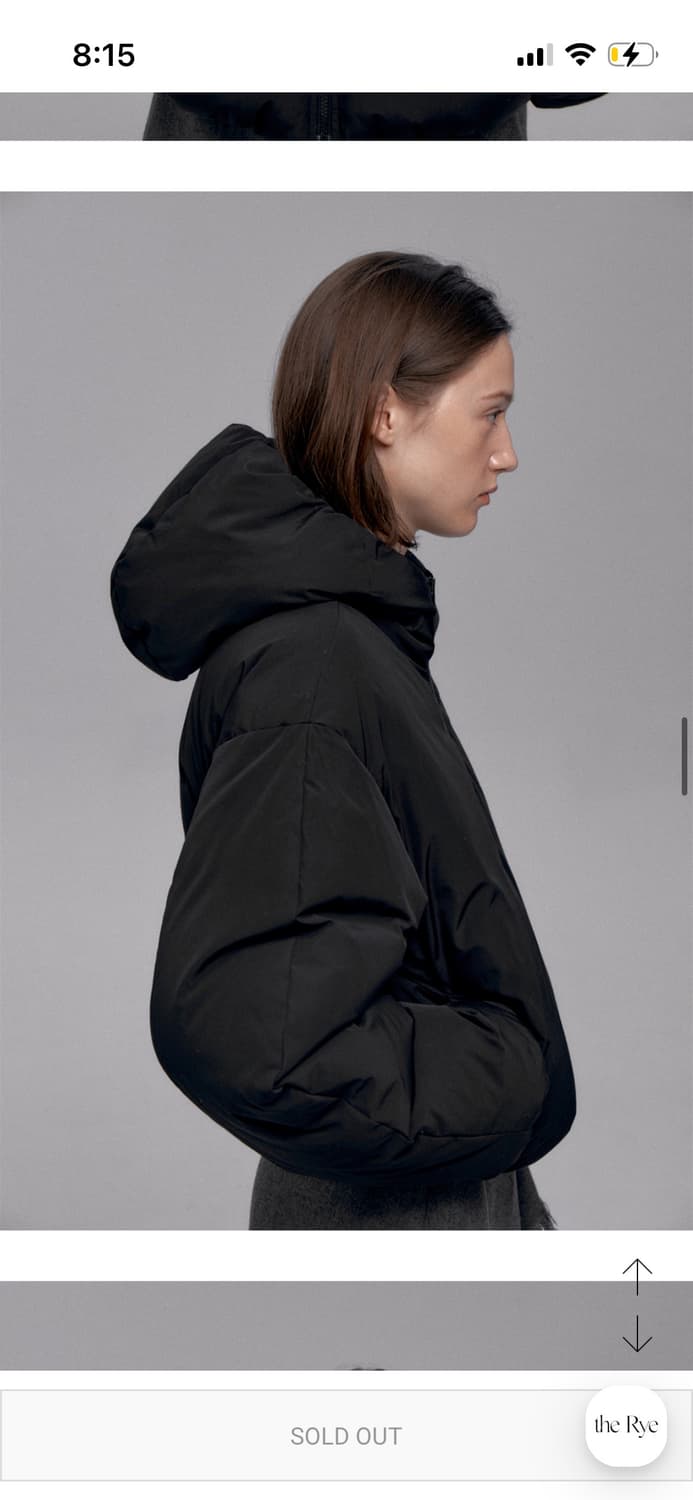 *해외출국으로 판매중단예정* TheRye 더라이 구스다운 패딩 블랙 상품이미지6