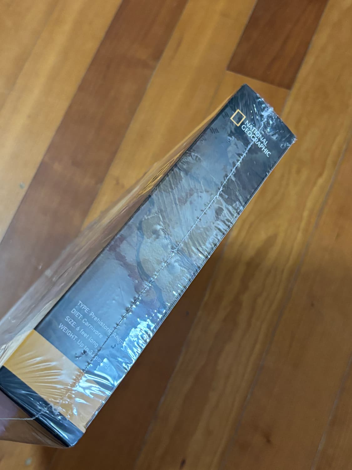 미개봉) 내셔널지오그래픽 벨로시랩터 공룡 피규어 조립 인테리어 소품 상품이미지4