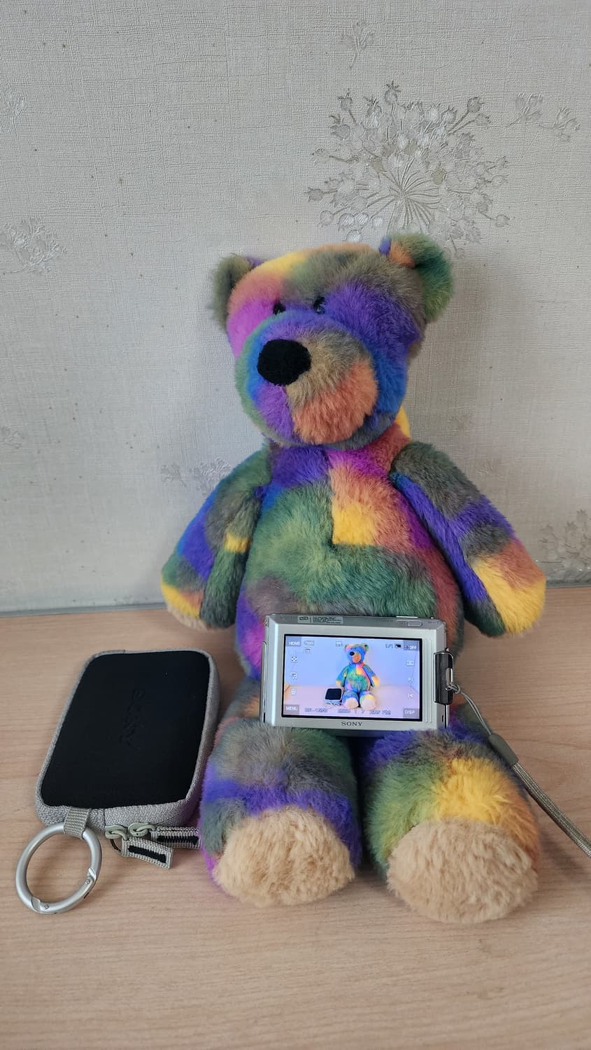 소니 사이버샷 DSC-T77 똑딱이 디카+케이스 상품이미지6