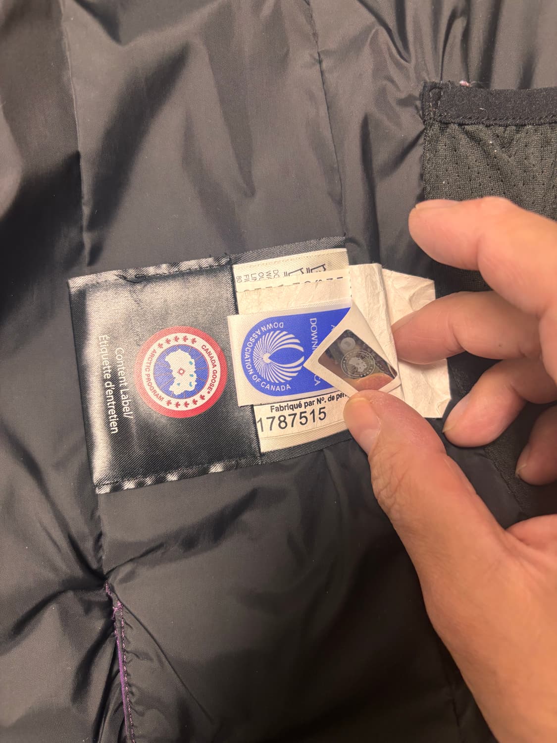 캐나다구스 퍼플 패딩 S(7-8) 상품이미지5