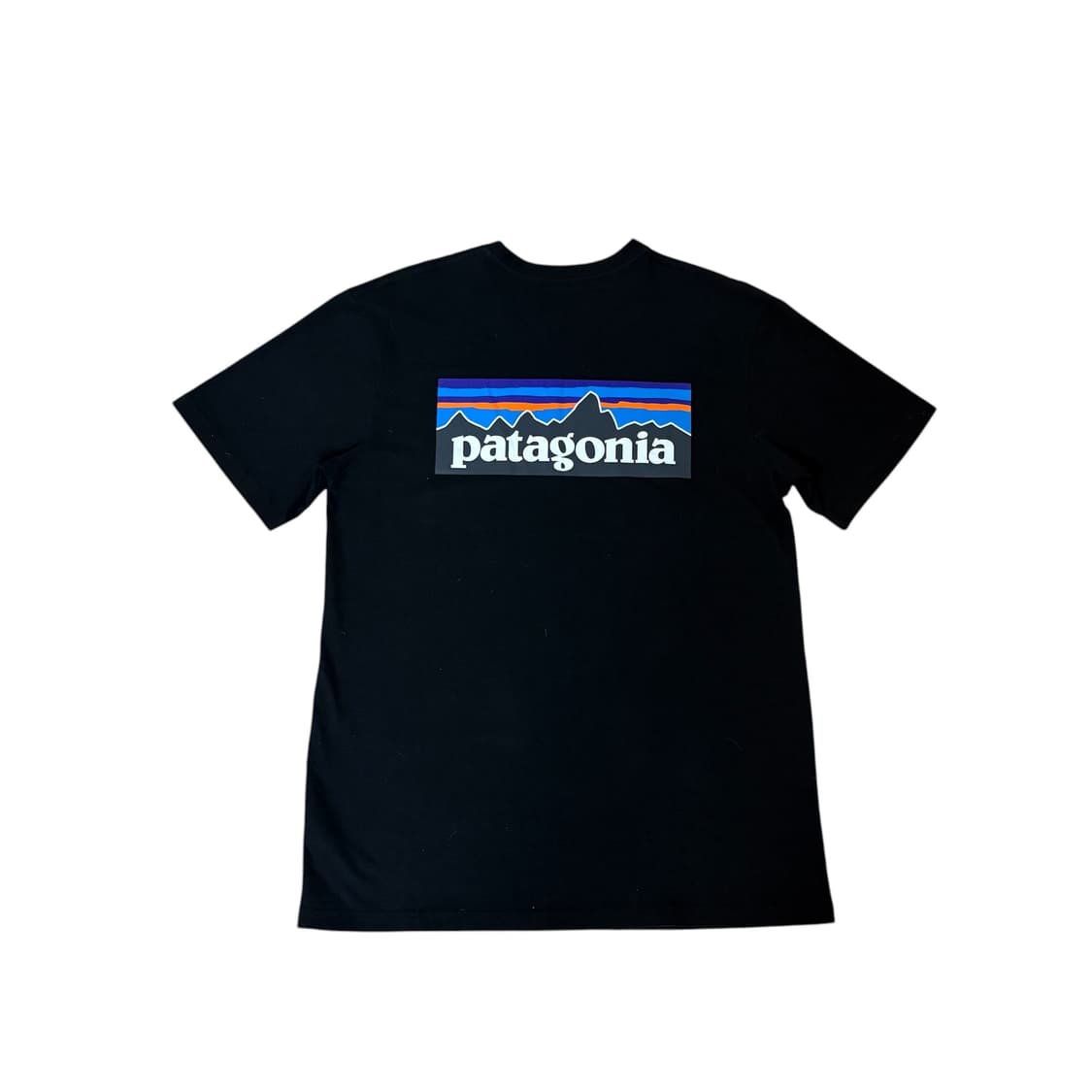 파타고니아 반팔 T  상품이미지2