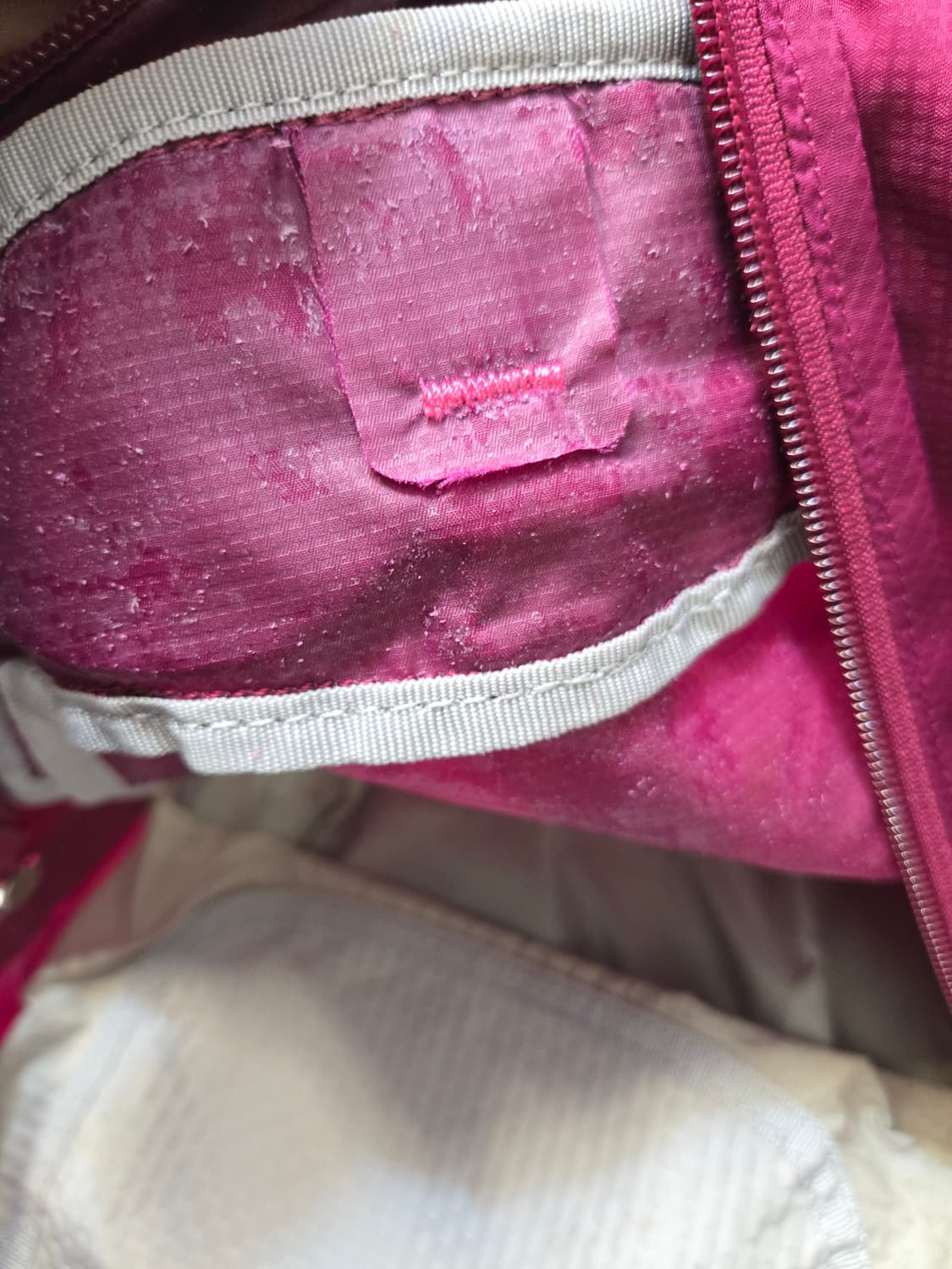 오스프리 Tempest 20 등산 배낭 퍼플 상품이미지8